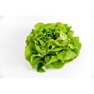 Kopfsalat