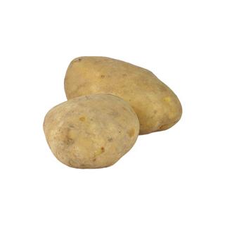 Kartoffeln Jumbo mehlig gewaschen