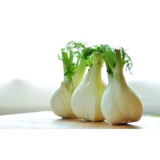 Fenchel