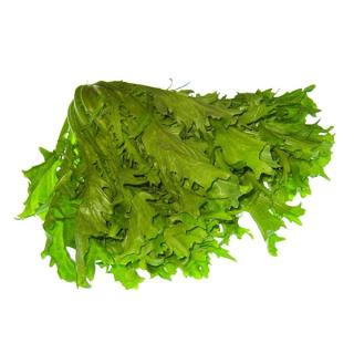 Endivien