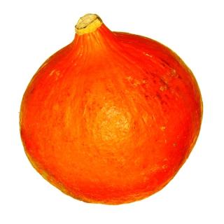 Kürbis Orange Knirps