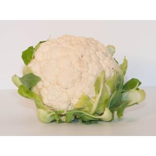 Blumenkohl