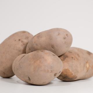 Kartoffeln Lady Felicia ungewaschen